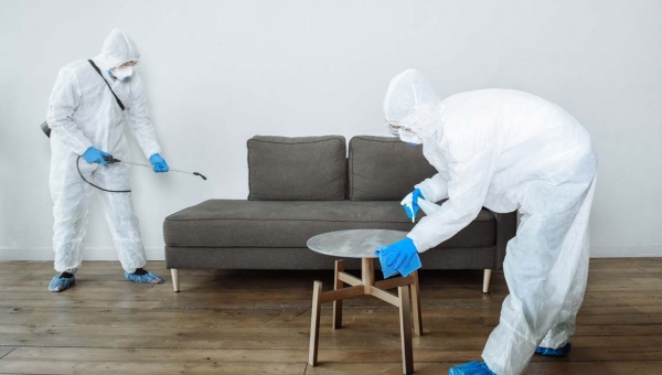 ابادة النمل