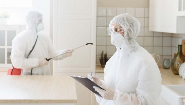 مكافحة الصراصير